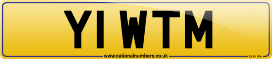 Y1 WTM