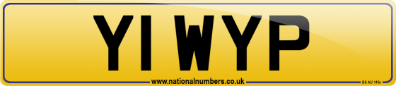 Y1 WYP