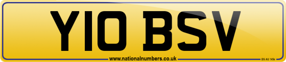 Y10 BSV