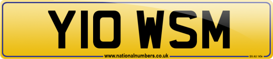 Y10 WSM