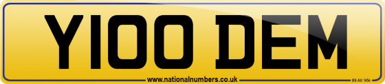 Y100 DEM