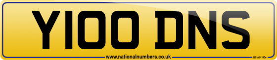 Y100 DNS