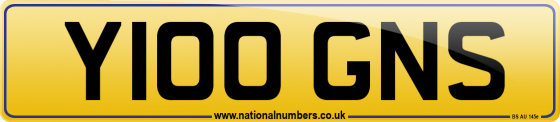 Y100 GNS