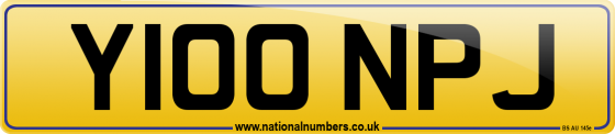 Y100 NPJ