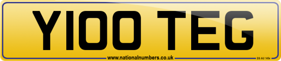 Y100 TEG