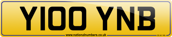 Y100 YNB