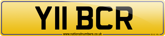 Y11 BCR