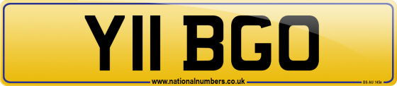 Y11 BGO