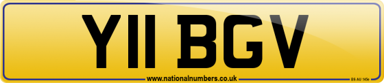 Y11 BGV