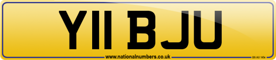 Y11 BJU