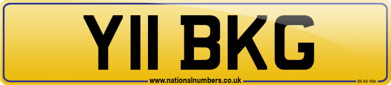 Y11 BKG