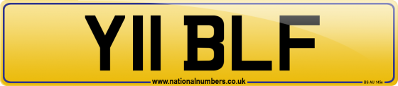 Y11 BLF