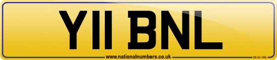 Y11 BNL