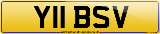 Y11 BSV