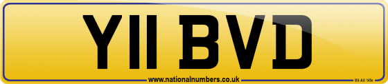 Y11 BVD