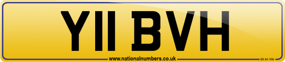 Y11 BVH
