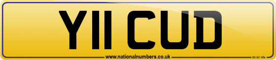 Y11 CUD