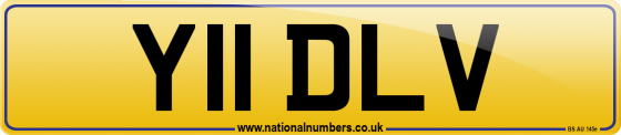 Y11 DLV