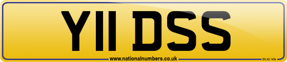 Y11 DSS