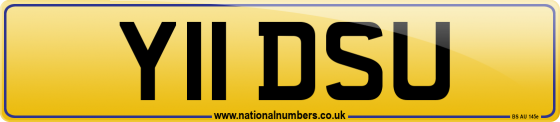 Y11 DSU