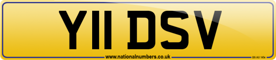 Y11 DSV