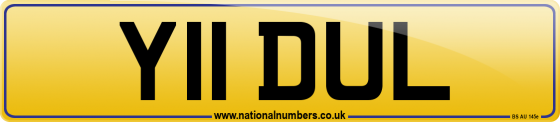 Y11 DUL
