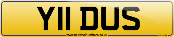 Y11 DUS