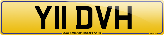 Y11 DVH