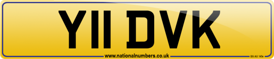 Y11 DVK