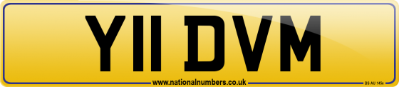 Y11 DVM