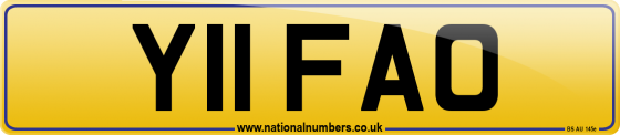 Y11 FAO
