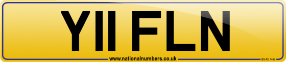 Y11 FLN