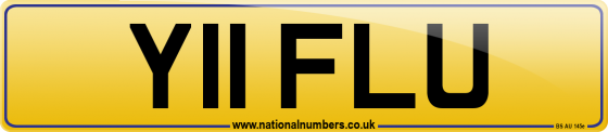 Y11 FLU