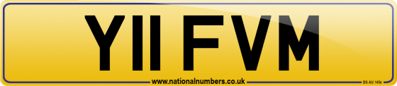 Y11 FVM