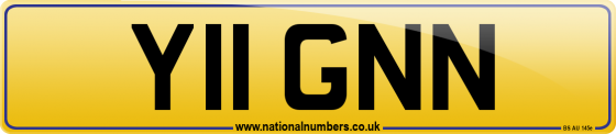 Y11 GNN