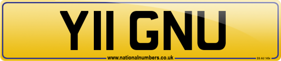 Y11 GNU