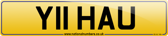 Y11 HAU