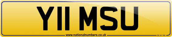 Y11 MSU