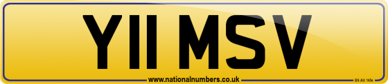 Y11 MSV