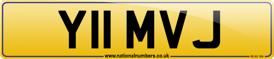 Y11 MVJ
