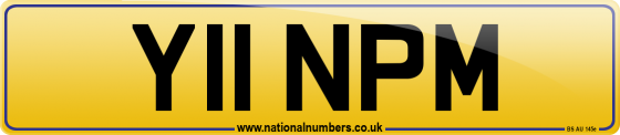 Y11 NPM