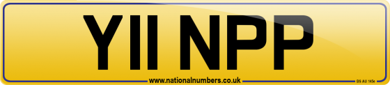 Y11 NPP