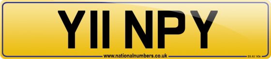 Y11 NPY