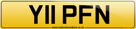Y11 PFN