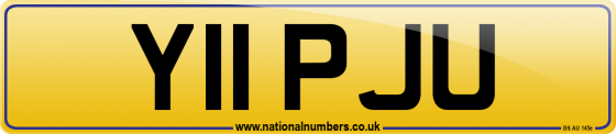 Y11 PJU
