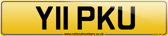 Y11 PKU