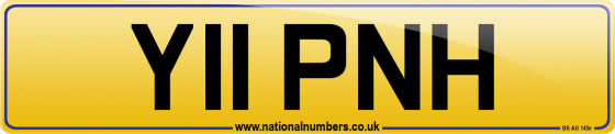 Y11 PNH