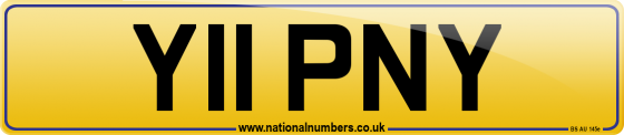 Y11 PNY