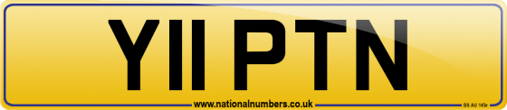 Y11 PTN