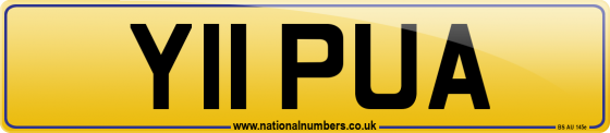 Y11 PUA